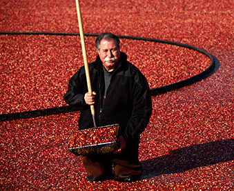 Producer in the Spotlight: Ocean Spray
