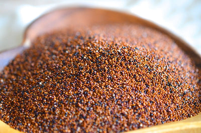 Canihua: Superfood from the Andes
