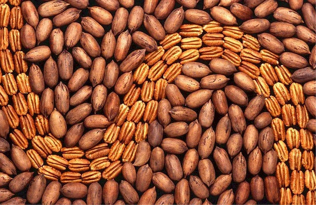 Delicious Pecan Recipes
