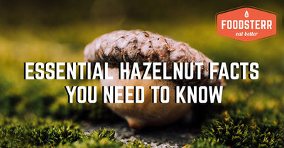 Essential Hazelnut Facts You Need To Know