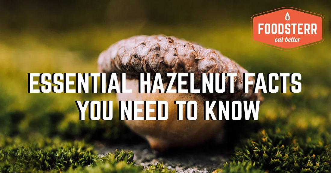 Essential Hazelnut Facts You Need To Know - Foodsterr PTE LTD