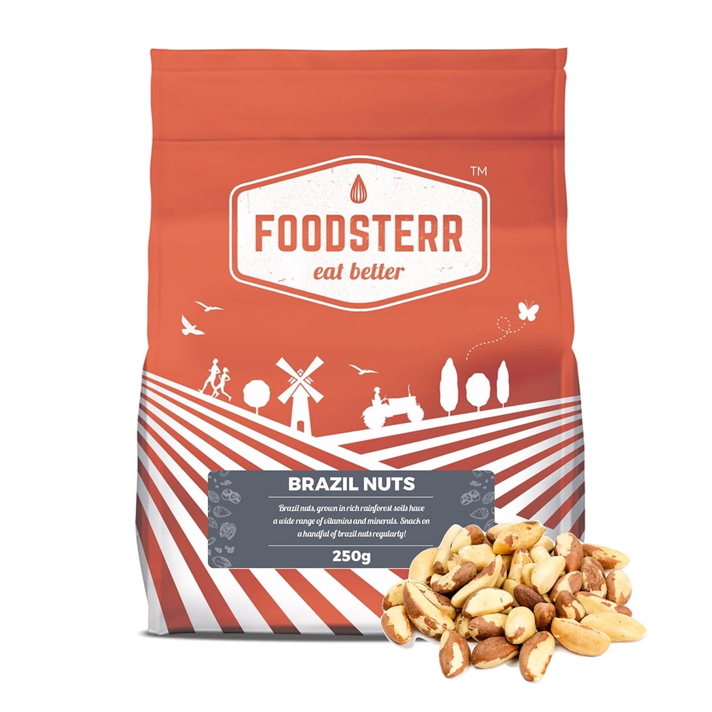 Brazil Nuts - Foodsterr PTE LTD