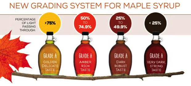 Maple Syrup