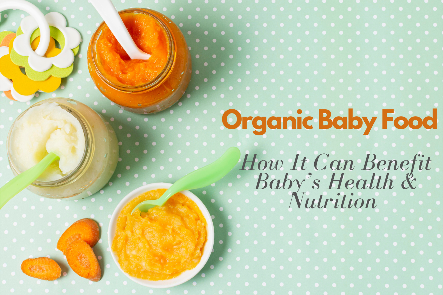 Organic Baby Food's Benefits